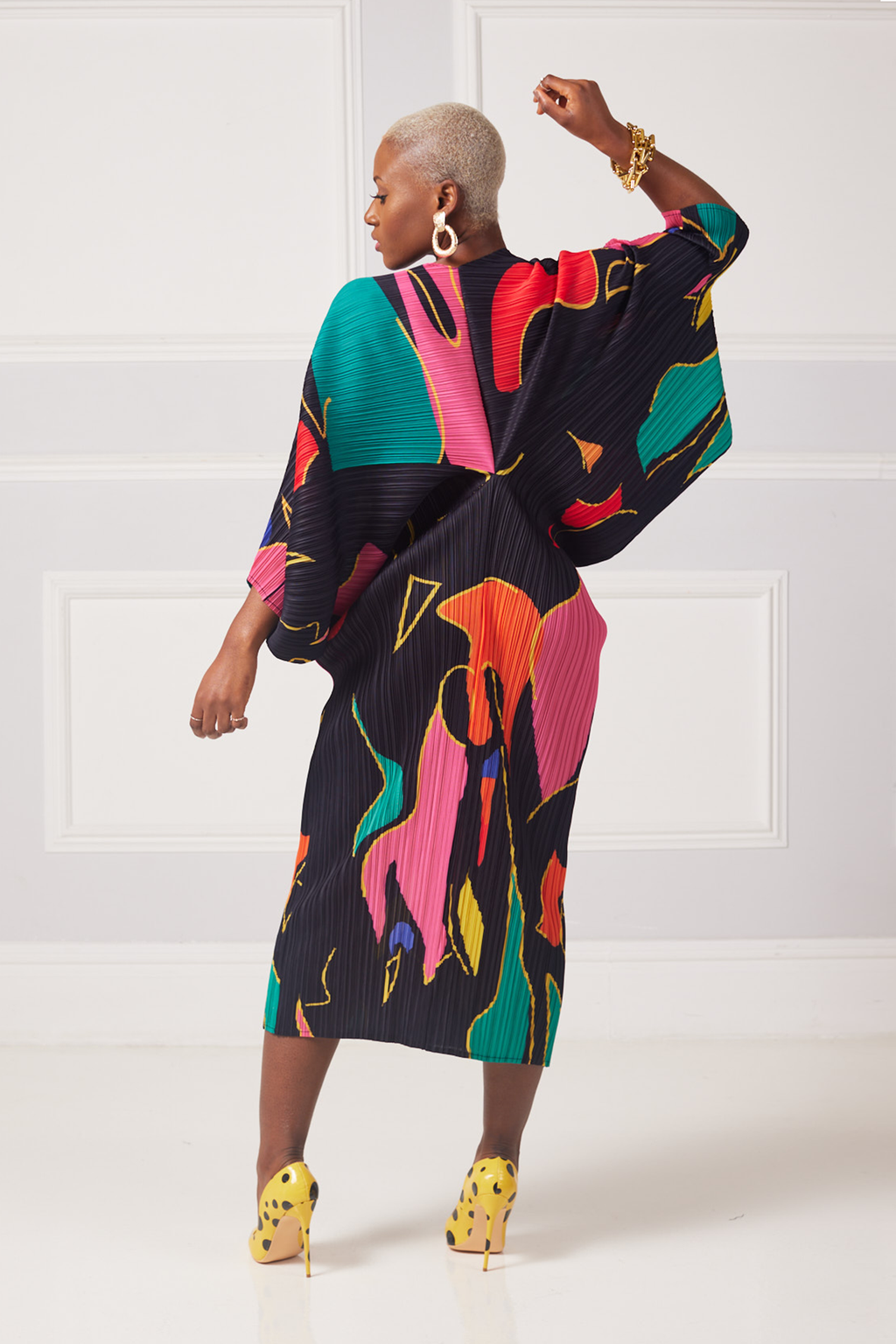 Cambaya Abstract Pleated Dress