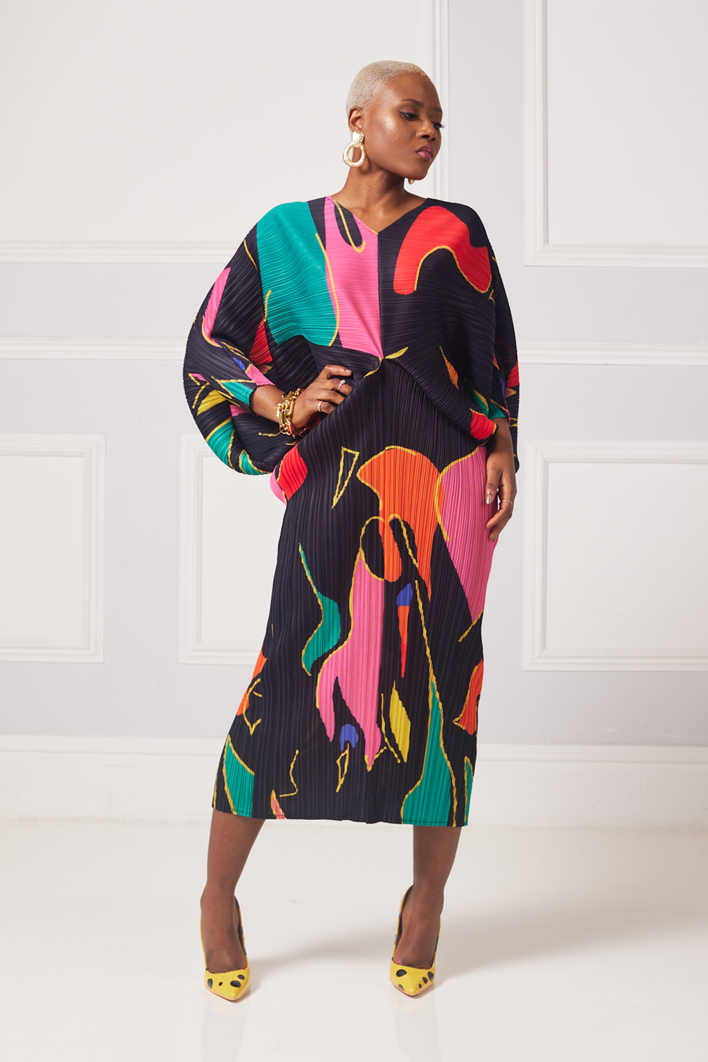 Cambaya Abstract Pleated Dress