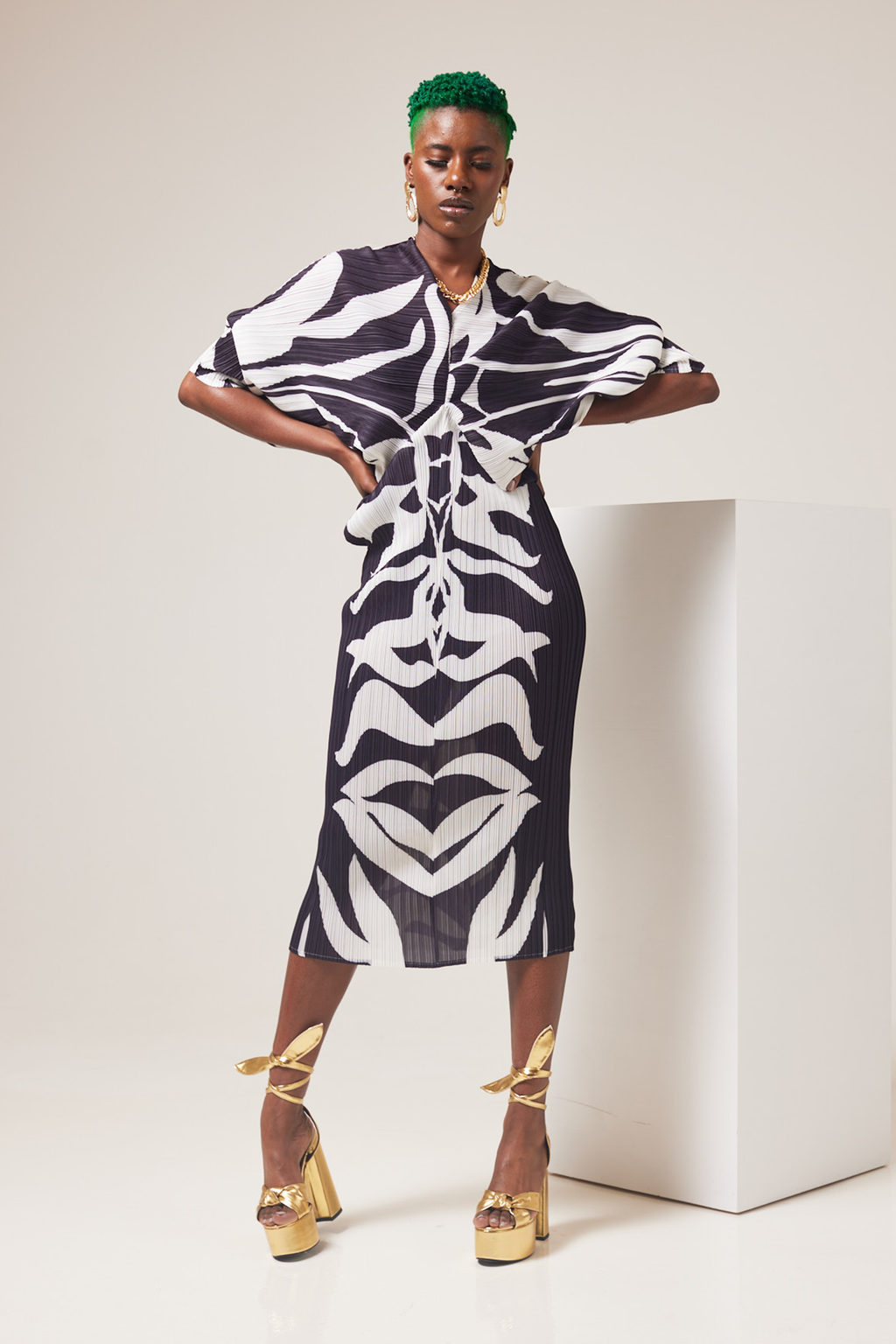 Setlagole Zebra Print Dress